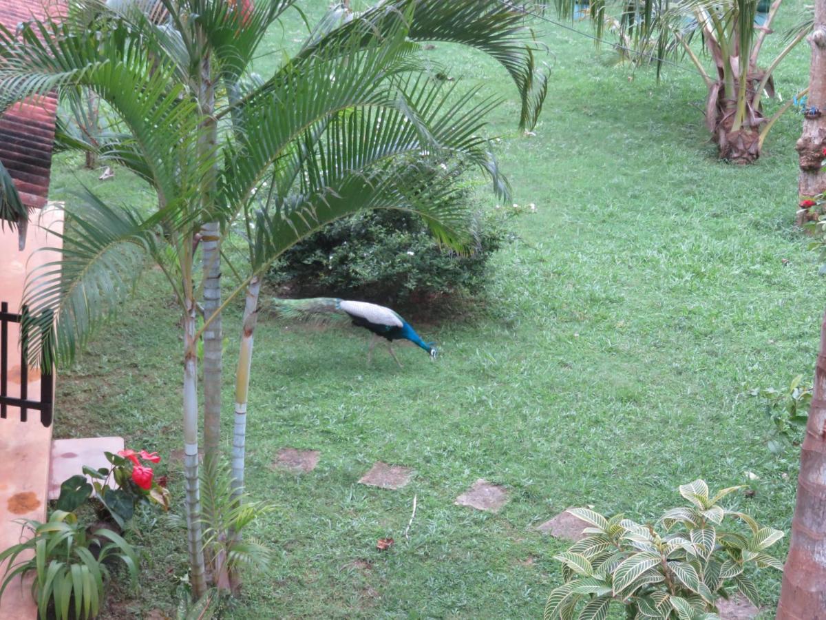 Beach Lagoon Guesthouse Tangalle Eksteriør bilde